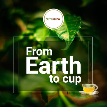 Is Green Coffee Good or Bad for Your Kidney Stone?