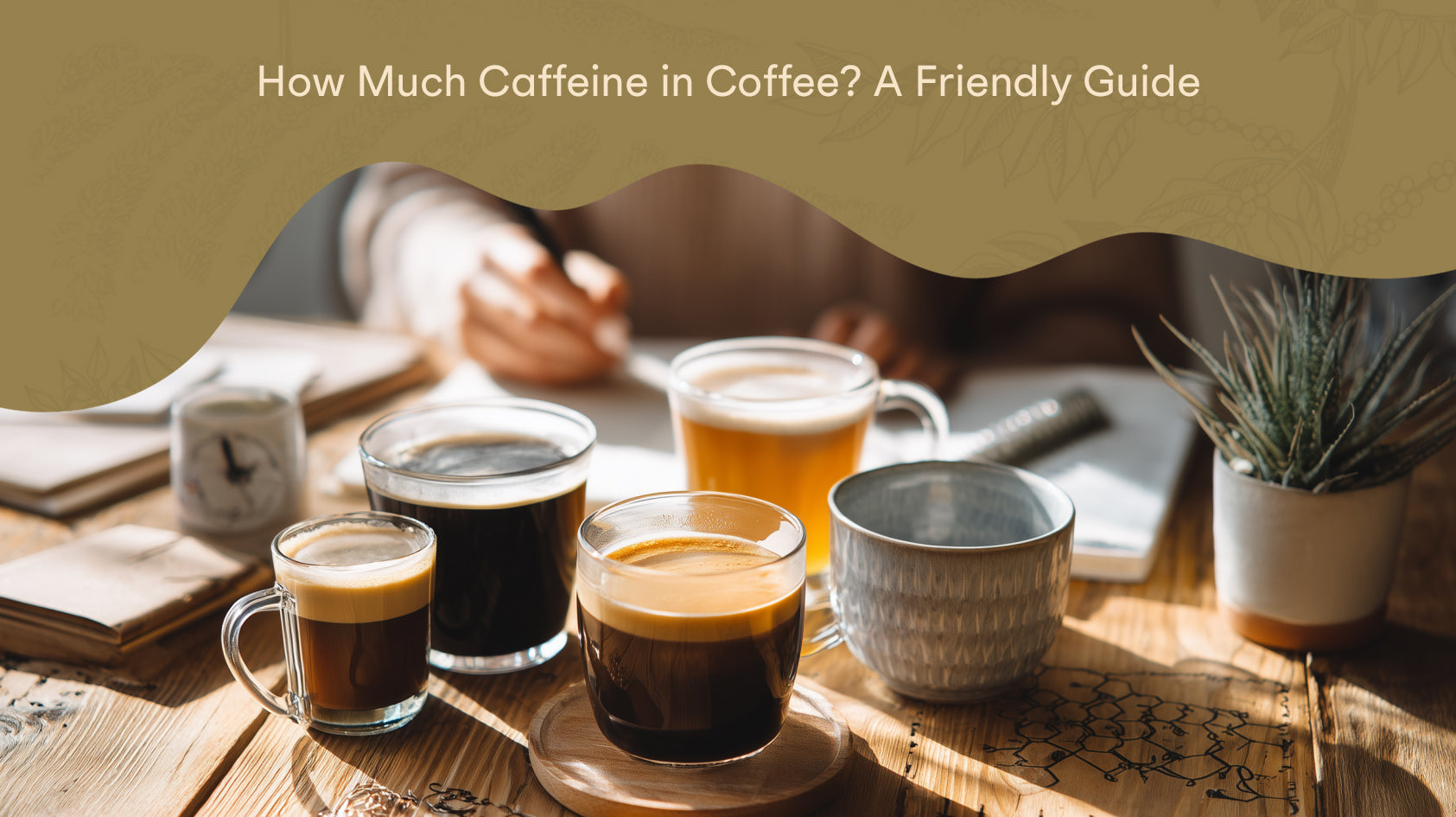 How Much Caffeine in Coffee? A Friendly Guide