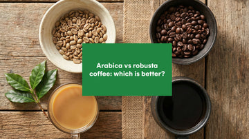 arabica vs robusta coffee
