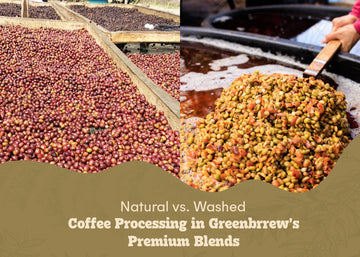 Natural vs. Washed: Coffee Processing in Greenbrrew’s Premium Blends