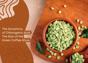 The Symphony of Chlorogenic Acid: The Star of the Green Coffee Show